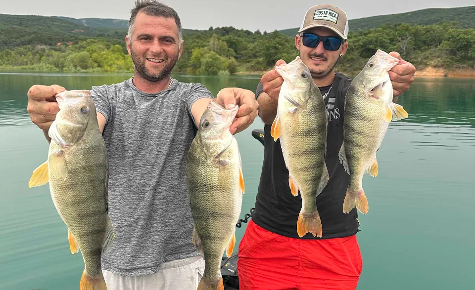 Découvrez mes techniques de pêche en mer à Fos-sur-Mer et au Lac de Sainte-Croix resize